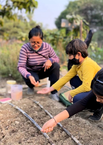 Students on a farm tour learning about vegetable rows